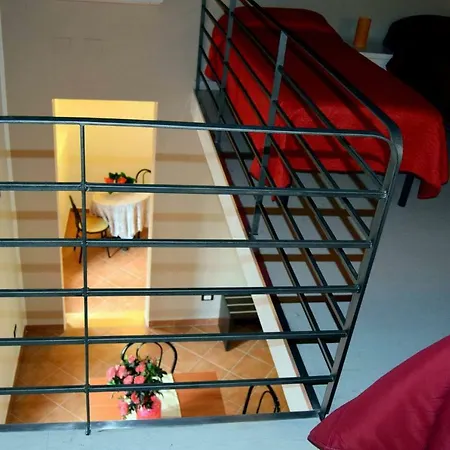 Patania Srl פלרמו